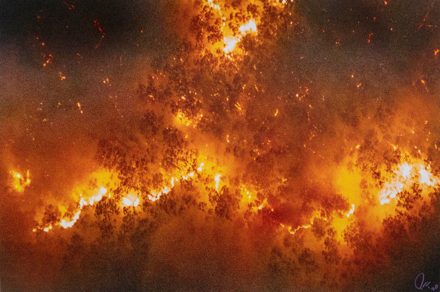 John GOLLINGS: Cann River Bushfire