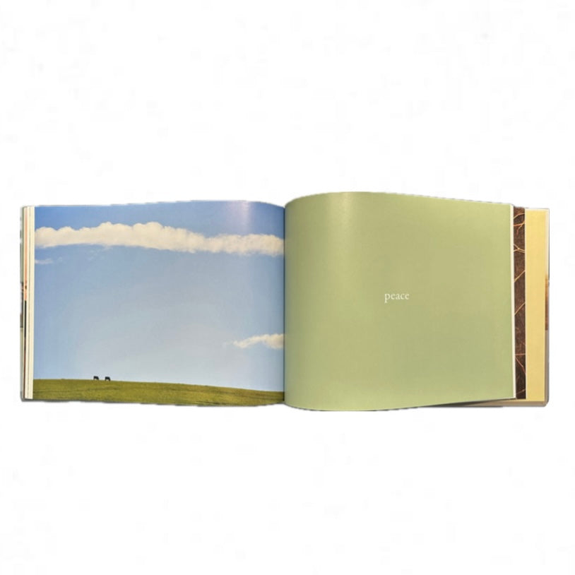 Helga Leunig - Mother Country