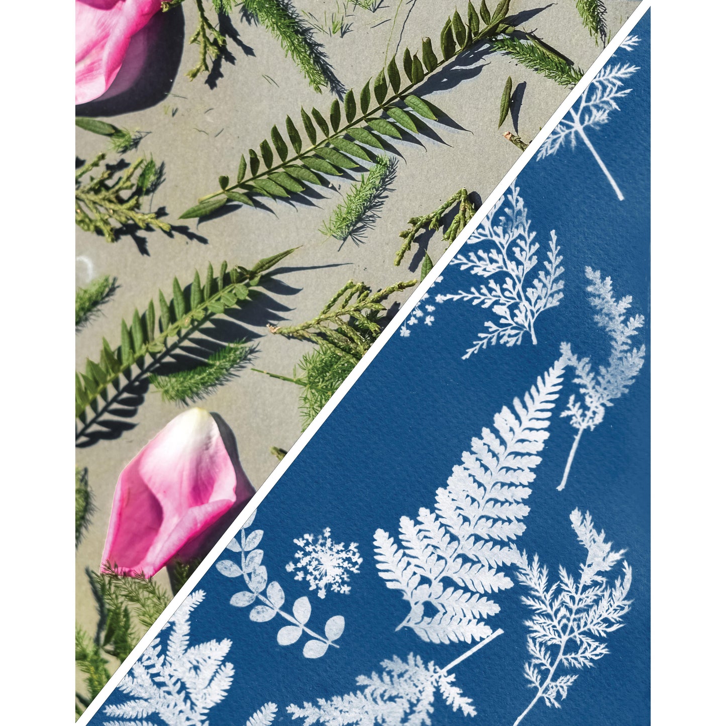 Cyanotype sun photography pack