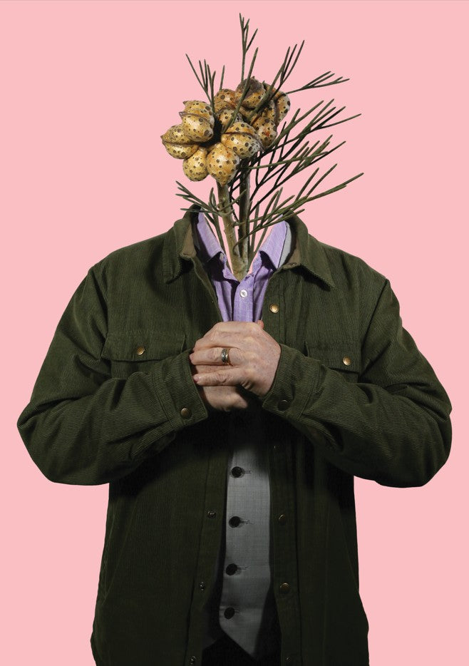 Darcy HAMBRIDGE: Personali-trees 3