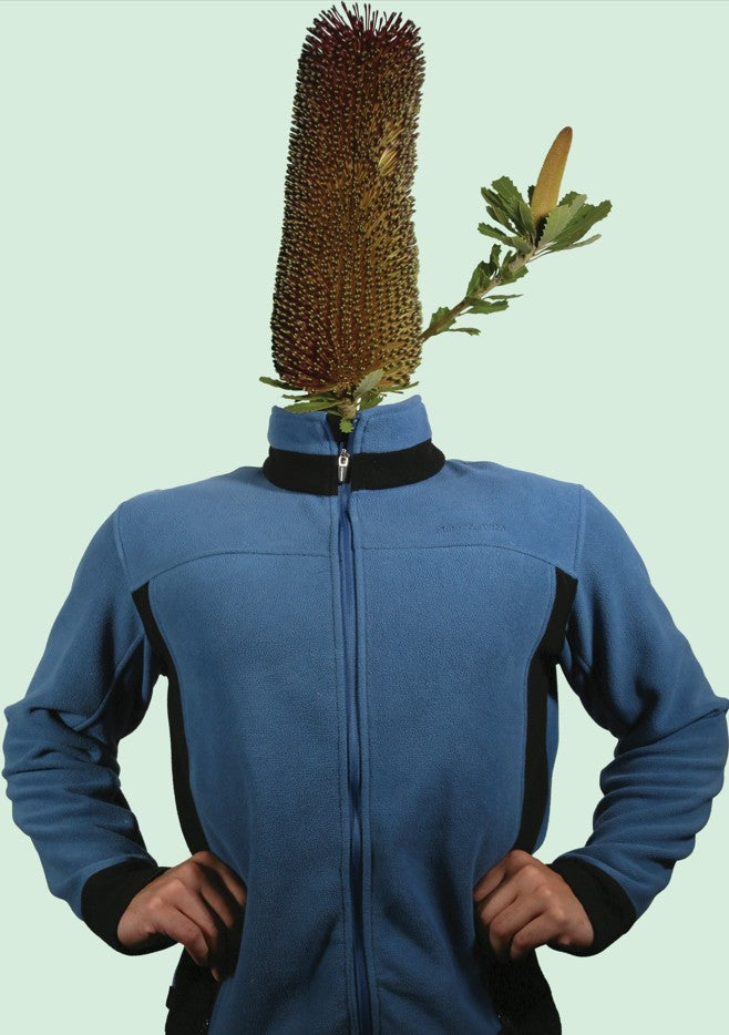 Darcy HAMBRIDGE: Personali-trees 6