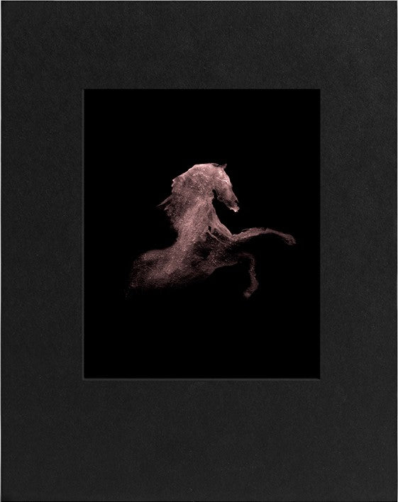 Tom Goldner: Do Brumbies Dream in Red?