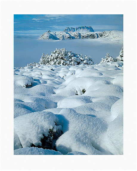 Peter DOMBROVSKIS: Cradle Mountain from Hounslow Heath, Cradle Mountain-Lake St Clair National Park, Tasmania