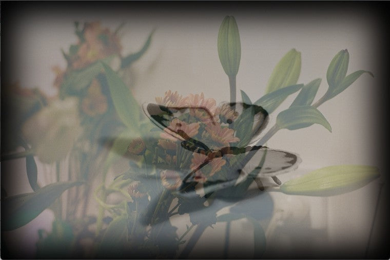 Eve MUNDY: Synthetic garden 10