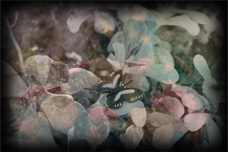 Eve MUNDY: Synthetic garden 2