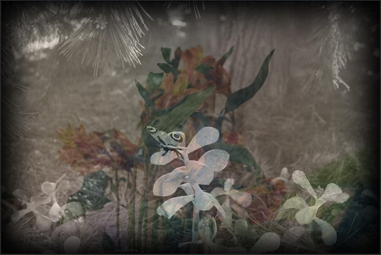 Eve MUNDY: Synthetic garden 4
