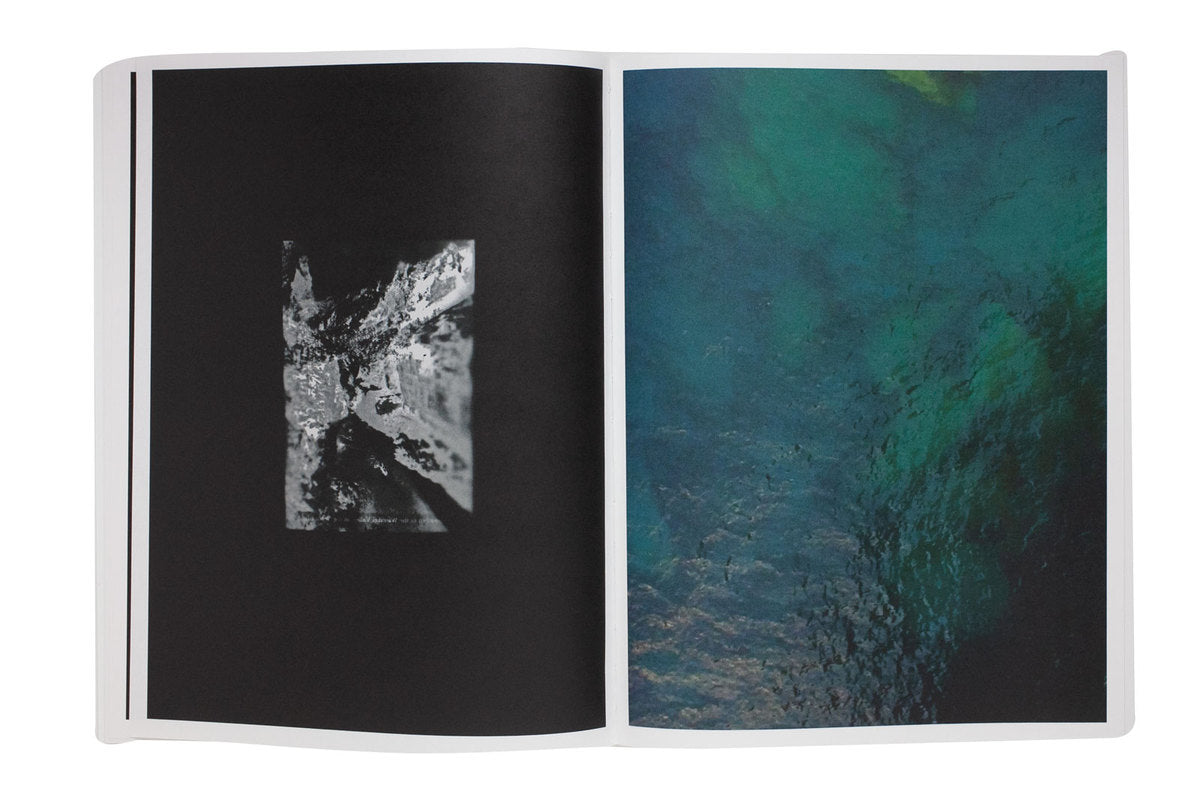 Izabela Pluta – Nihilartikel