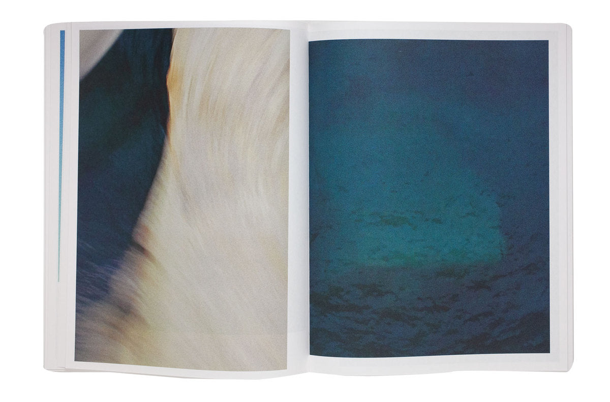 Izabela Pluta – Nihilartikel