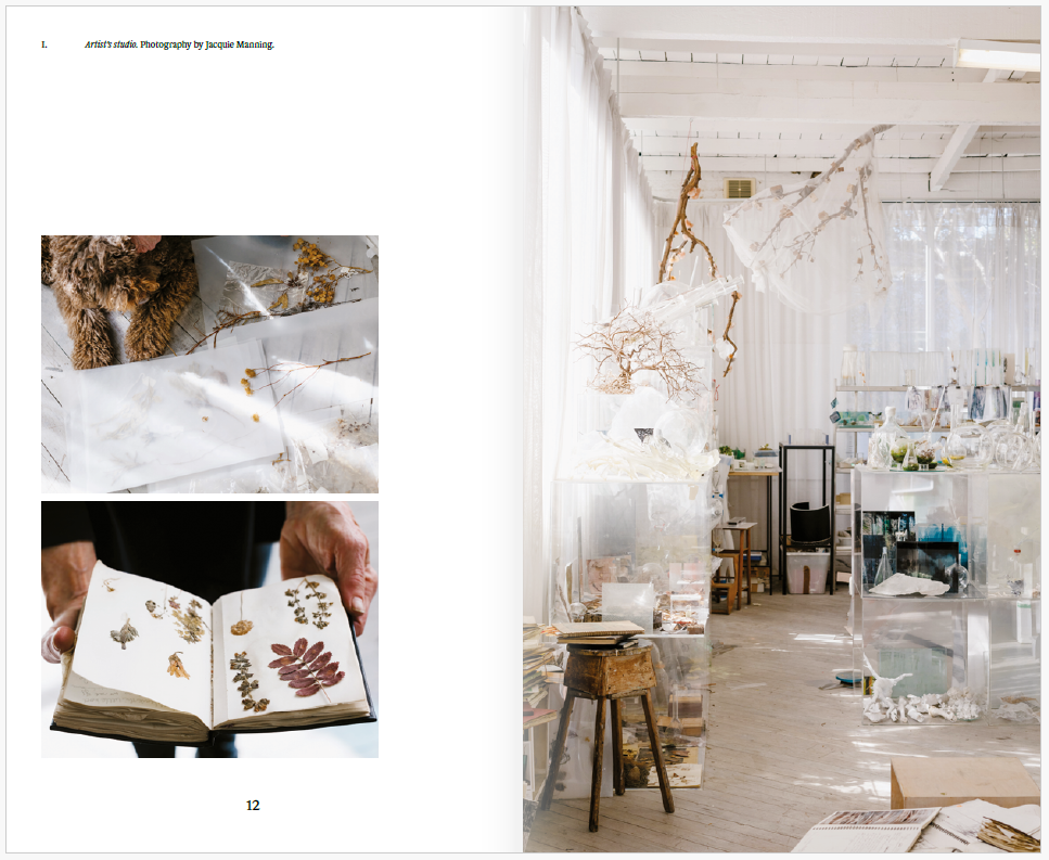 Janet Laurence - Tears of dust