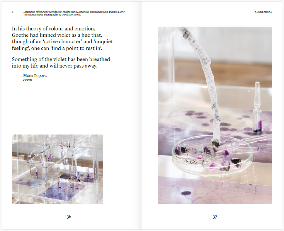 Janet Laurence - Tears of dust