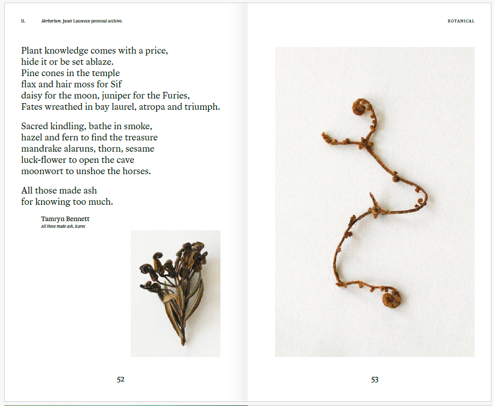 Janet Laurence - Tears of dust