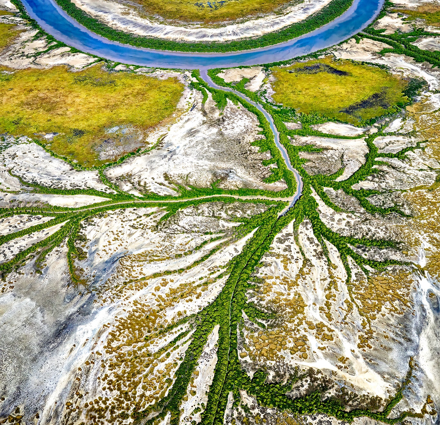 Stuart CHAPE: Kakadu designs, Australia