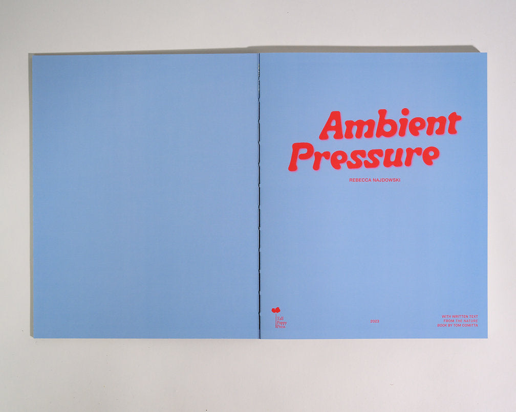 Rebecca Najdowski - Ambient Pressure