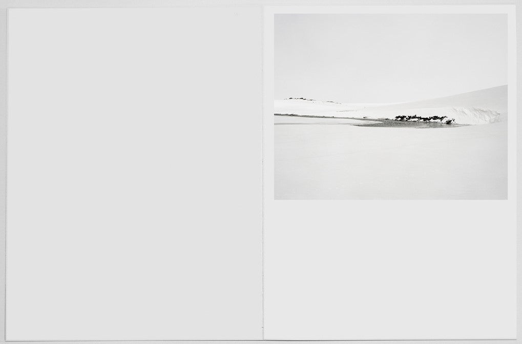 Rohan Hutchinson - Encounters ( Signed + print )