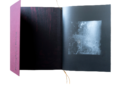 Persephone Rising Zine by Morganna Magee