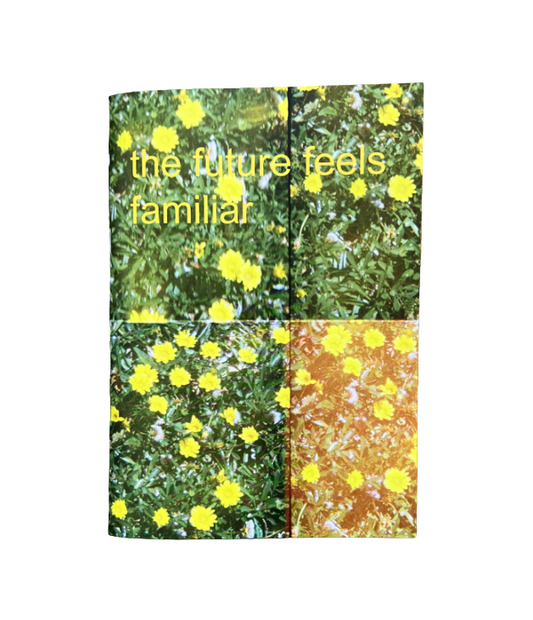 The future feels familiar by J Davies