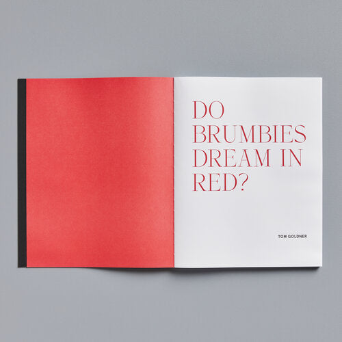 Tom Goldner: Do Brumbies Dream in Red?