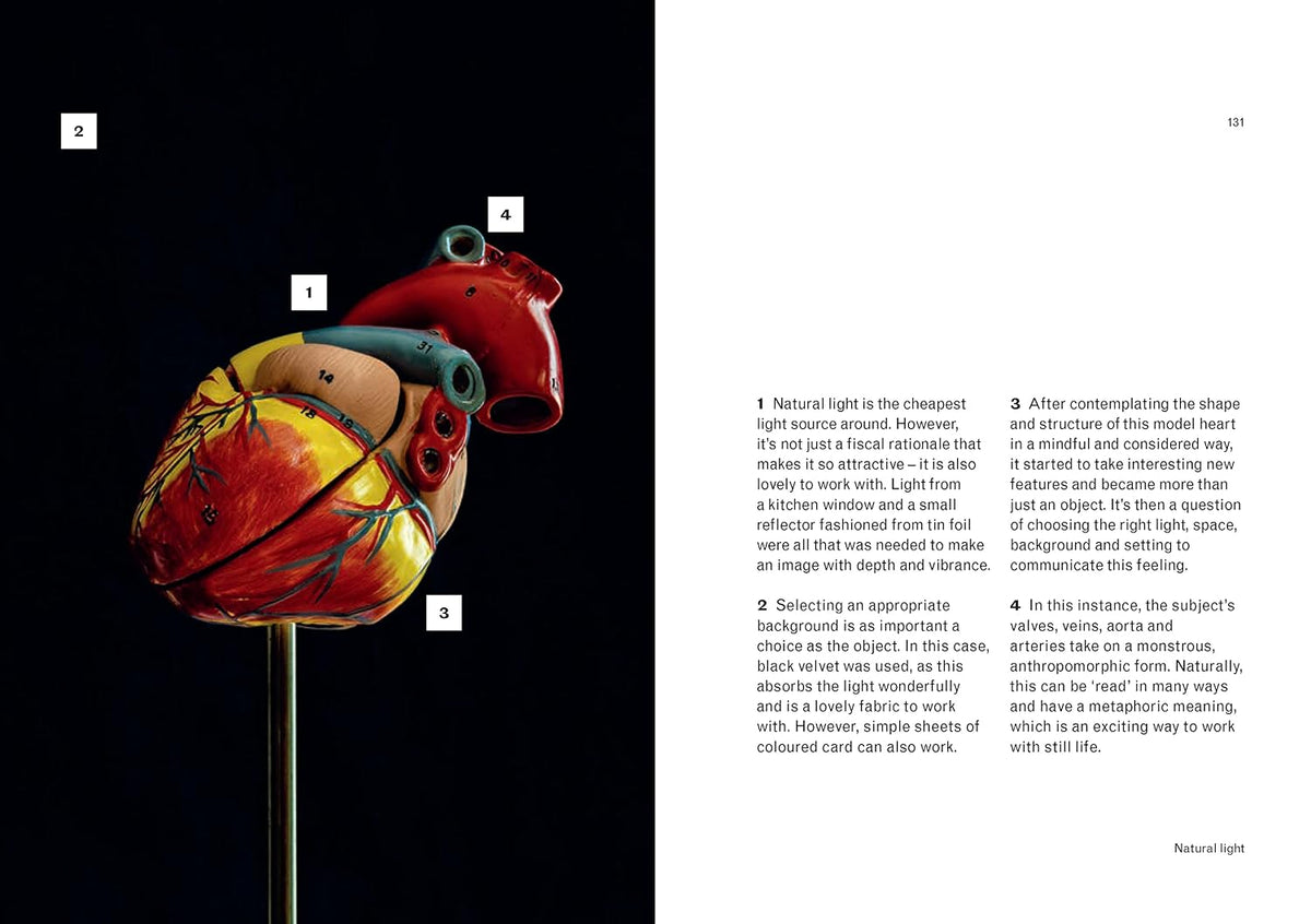 You will be able to take great photos by the end of the is book: A new approach to image-making