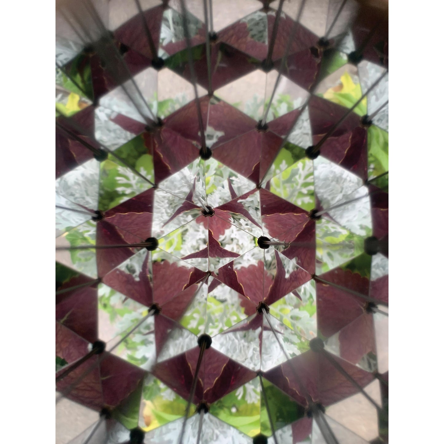 Nature kaleidoscope