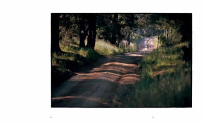 Bill Henson - The light fades but the gods remain