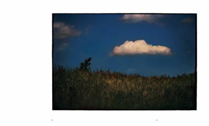 Bill Henson - The light fades but the gods remain