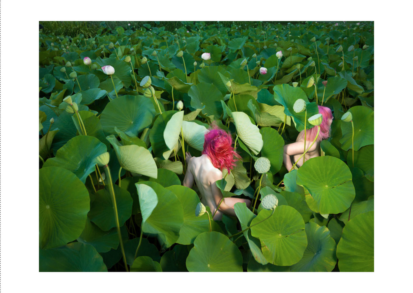 Bowness Prize Catalogue 2018