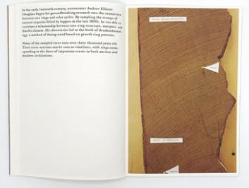 Danielle Mericle - The dark wood