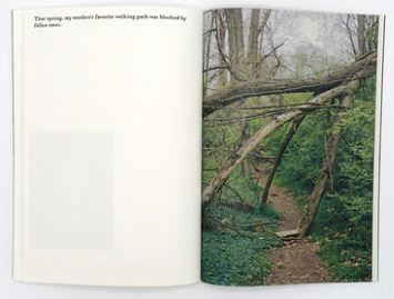 Danielle Mericle - The dark wood