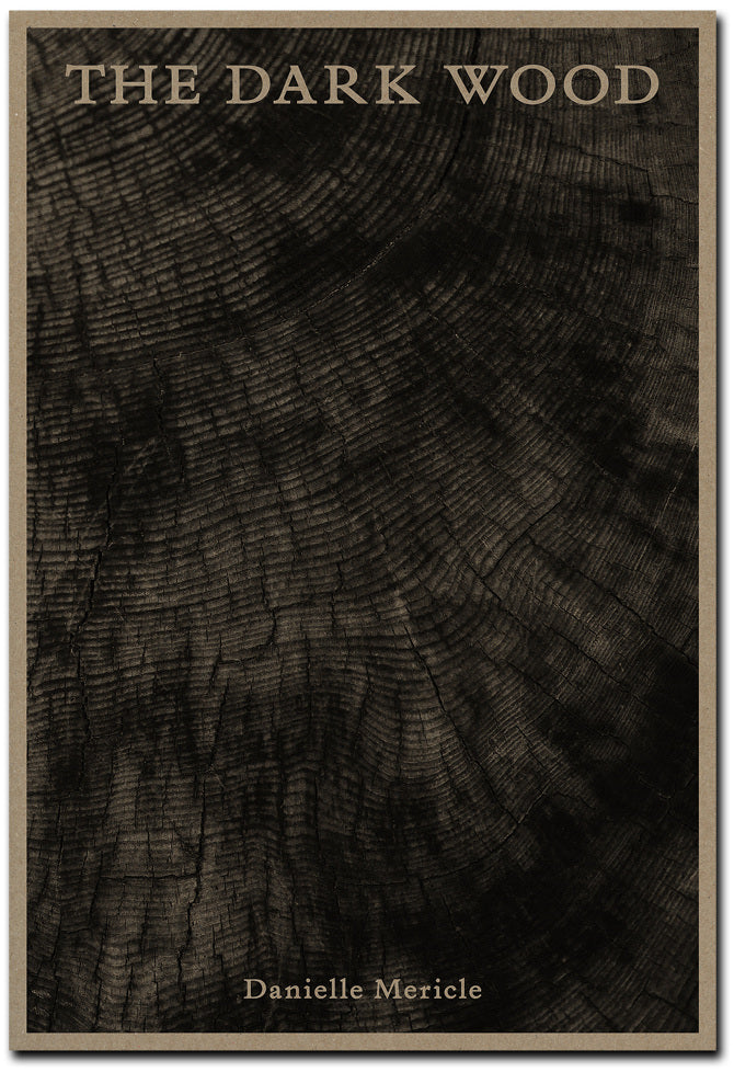 Danielle Mericle - The dark wood