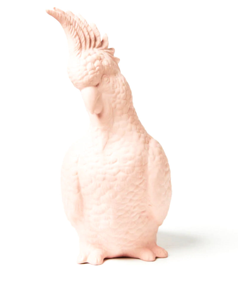 Cockatoo money box