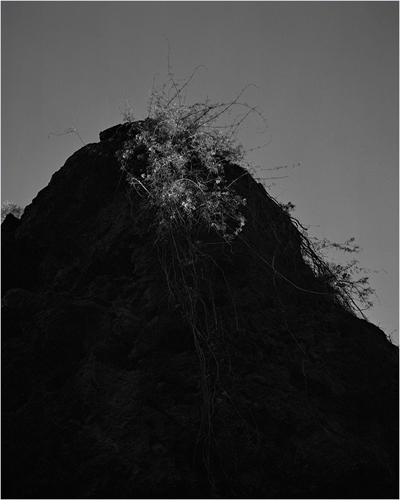 MGA 30th Anniversary Limited Edition Prints: Landscape