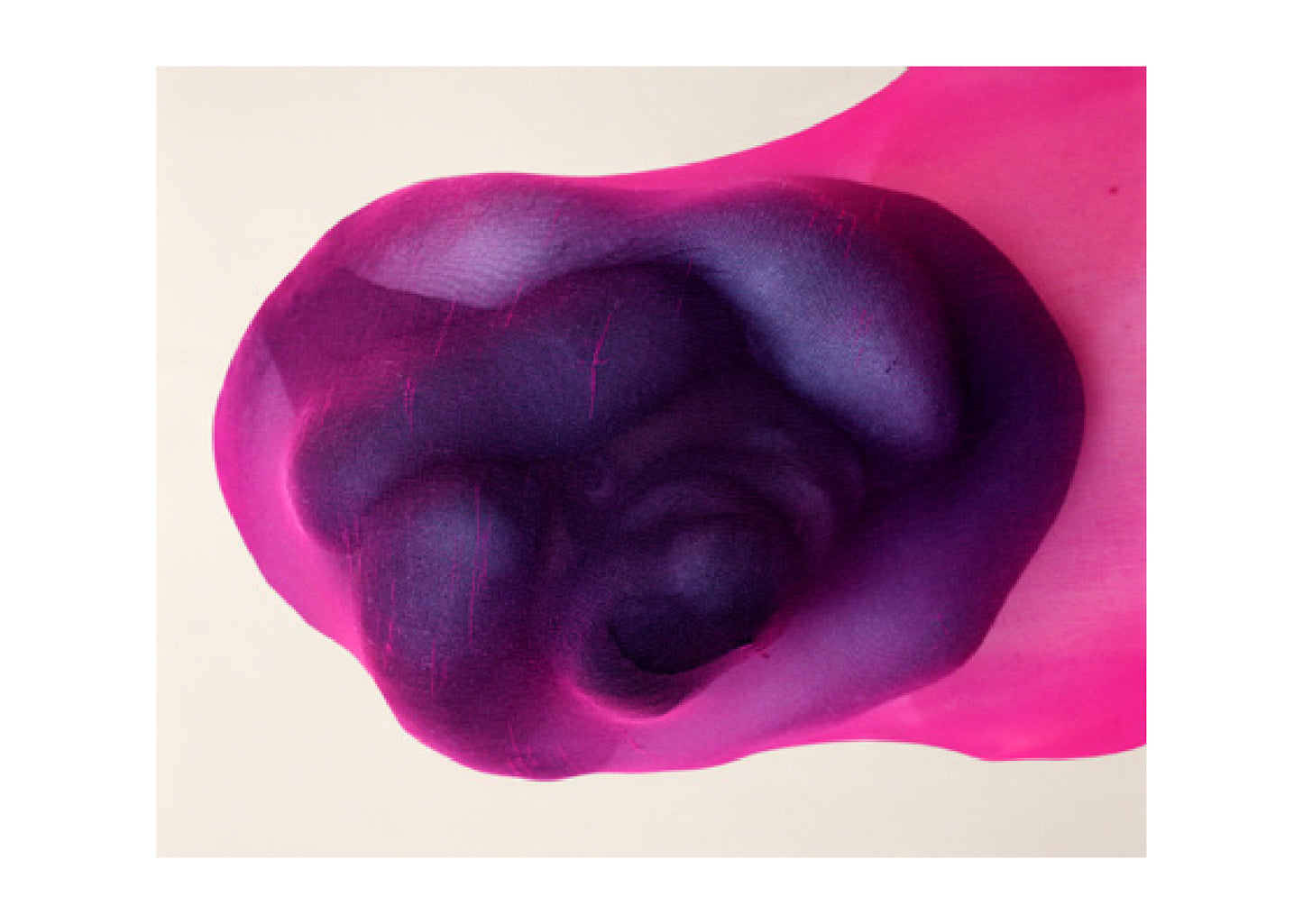 Bowness Prize Catalogue 2019