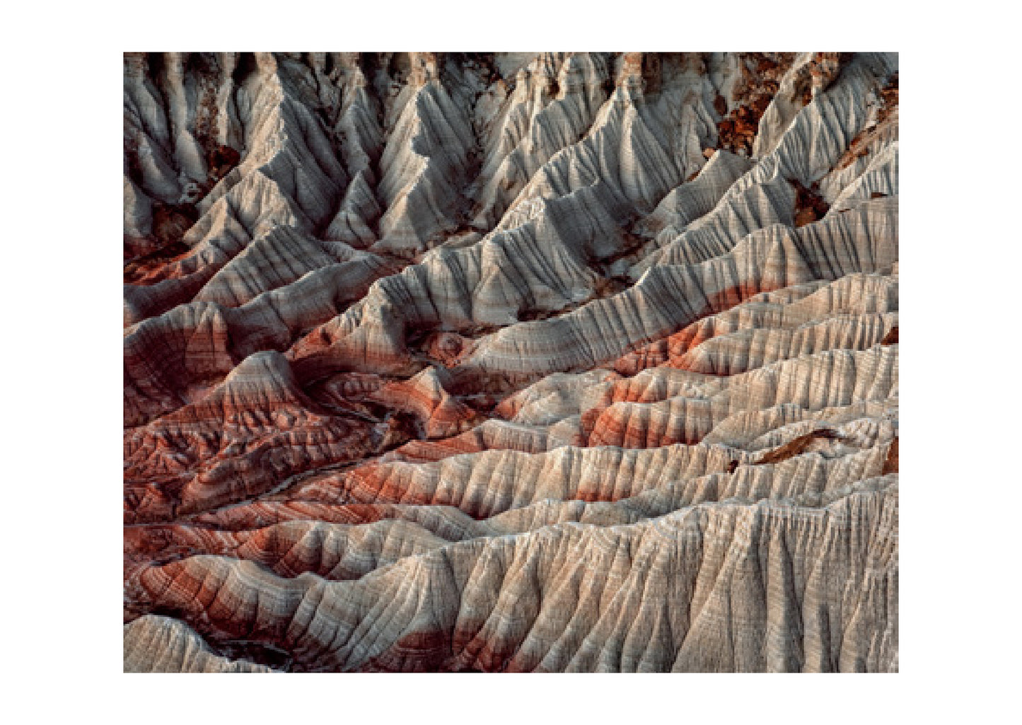 Bowness Prize Catalogue 2019