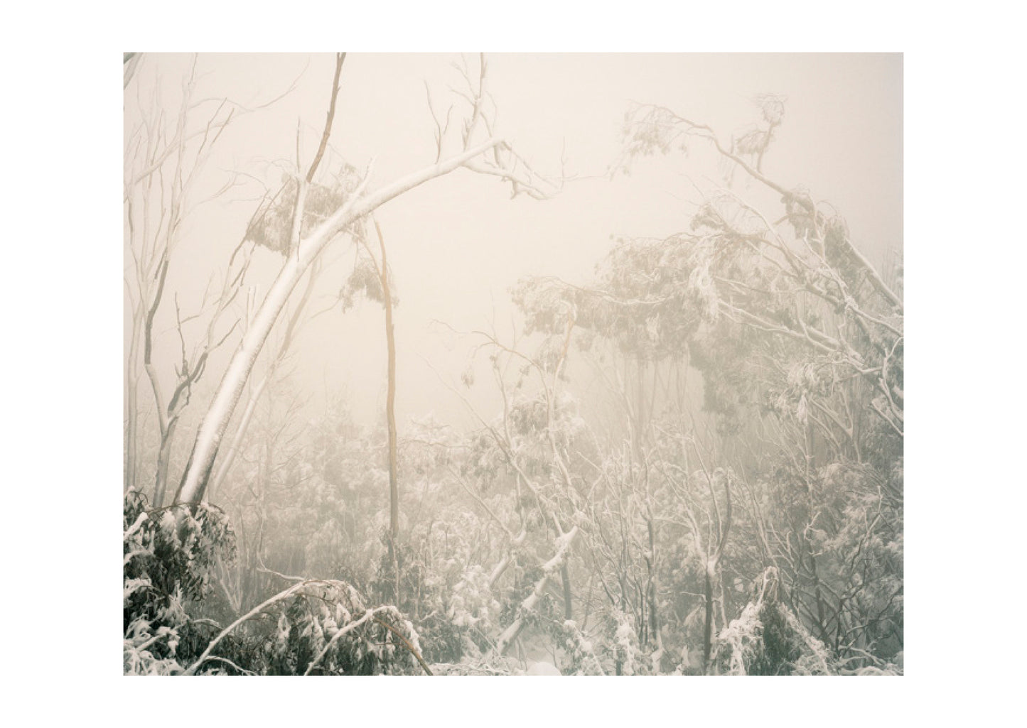 Bowness Prize Catalogue 2019