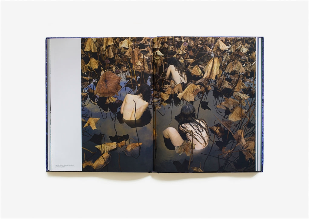 Tamara Dean- A Monograph