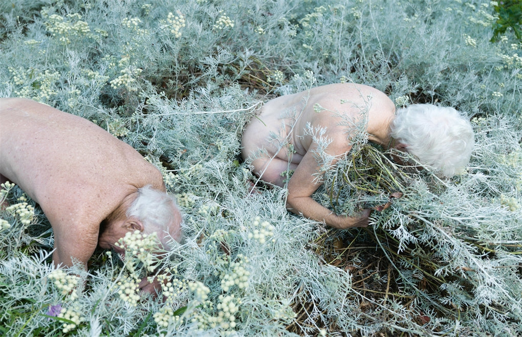 Tamara Dean- A Monograph