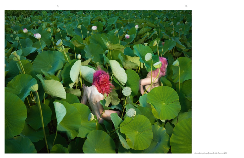 Tamara Dean- A Monograph