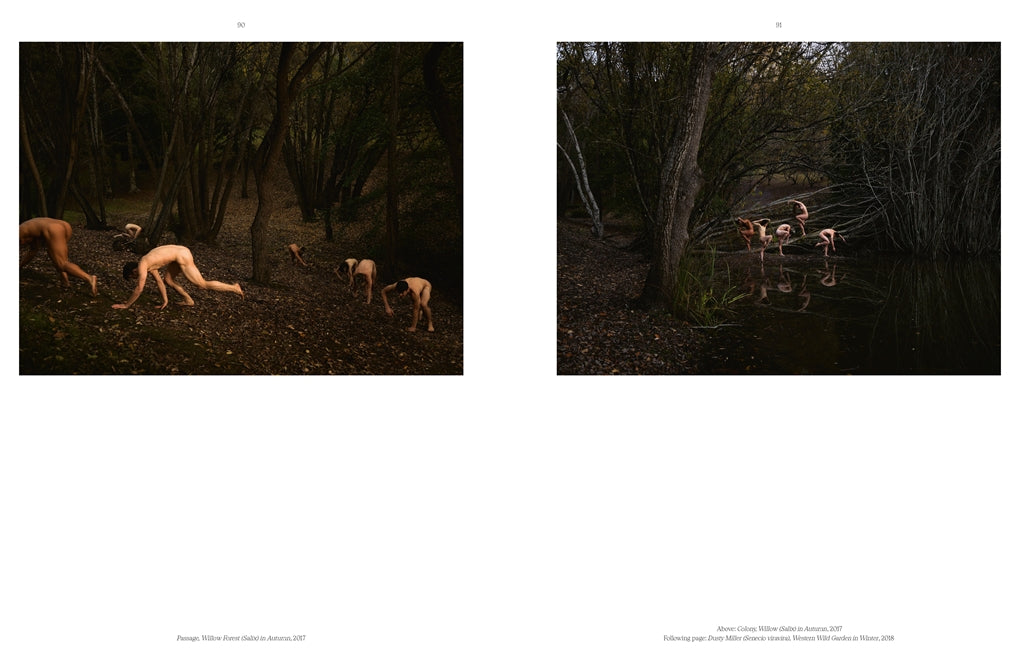 Tamara Dean- A Monograph