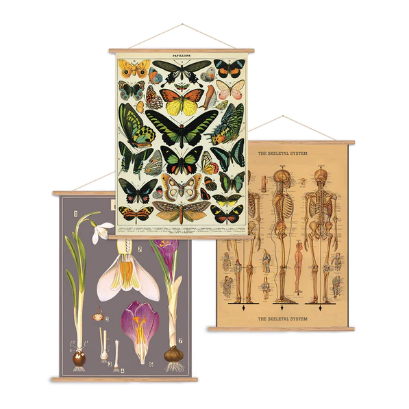 Cavallini - Vertical vintage poster kit