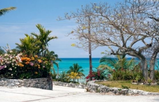 Darren Sylvester: Compass point