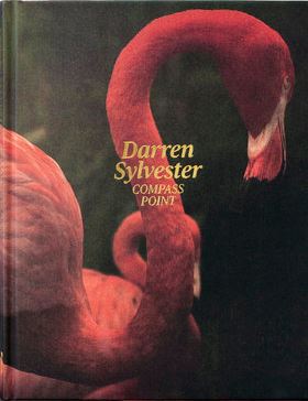 Darren Sylvester: Compass point