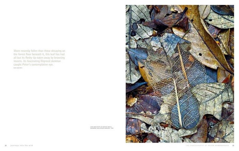 Peter Dombrovskis: Journeys into the wild