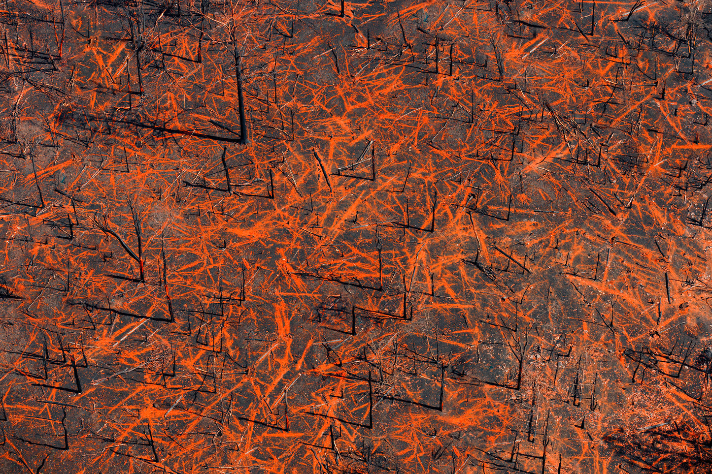 John GOLLINGS: Black Saturday 01, Kinglake