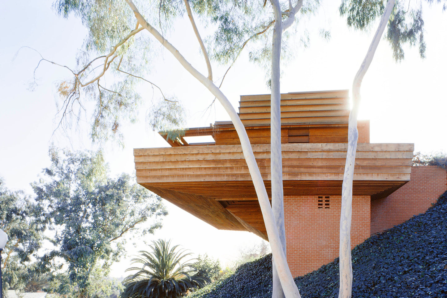 John GOLLINGS: Sturges House, Los Angeles
