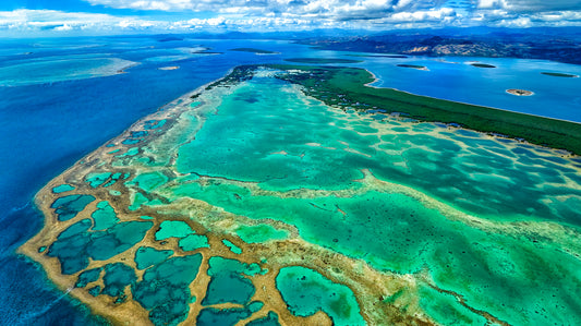 Stuart CHAPE: Coral reef and islands, Fiji