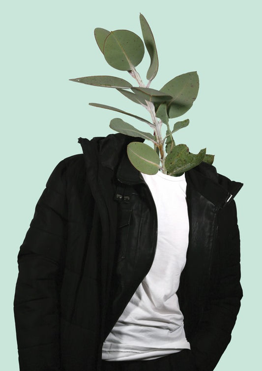 Darcy HAMBRIDGE: Personali-trees 1
