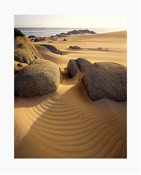 Peter DOMBROVSKIS: Dunes and granite near Interview River, Tarkine Wilderness, Tasmania