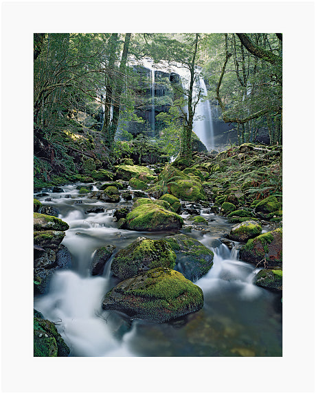 Peter DOMBROVSKIS: Little Fisher River, Walls of Jerusalem National Park, Tasmania