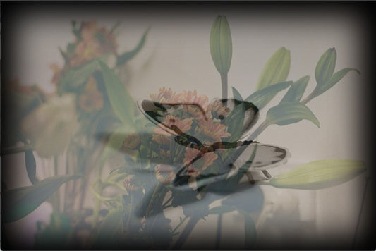 Eve MUNDY: Synthetic garden 10