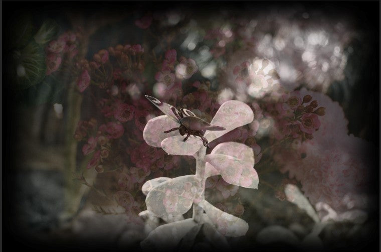 Eve MUNDY: Synthetic garden 3